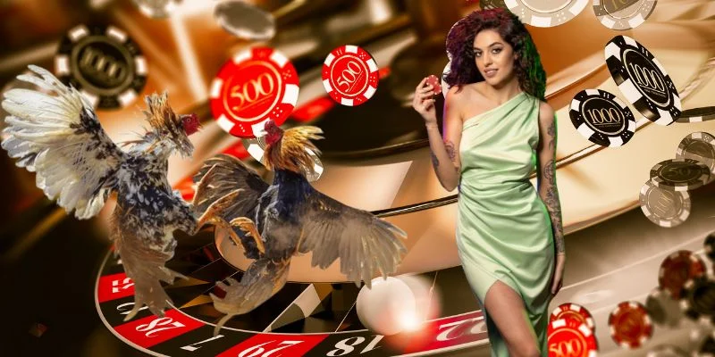 ALO789 VI VN - Mega Live Đá Gà alo789.com T10/2026 2 Giới thiệu Alo789